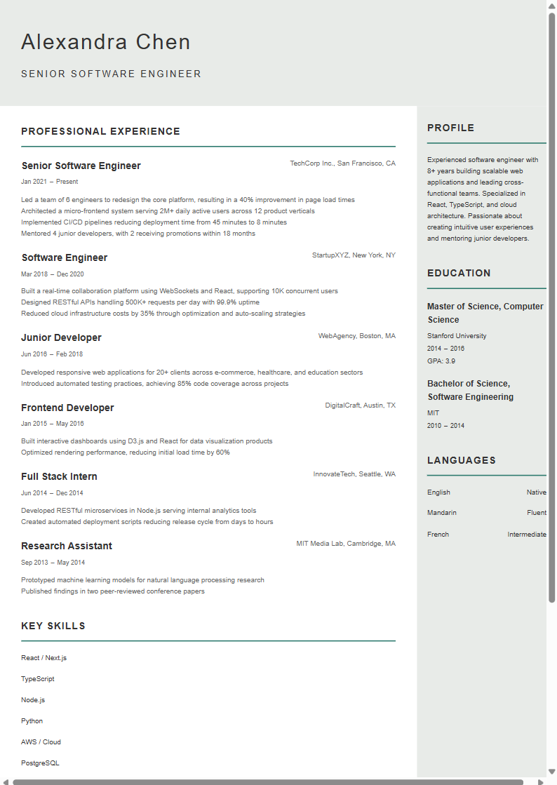 Modern Professional template preview